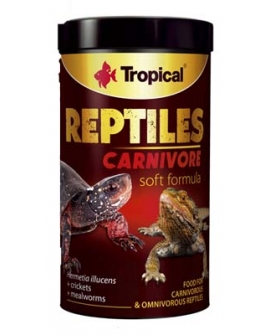 SOFT LINE REPTILES CARNIVORE 250ml